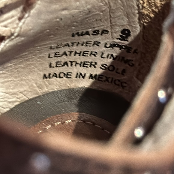 Freebird WASP - Picture 7 of 8